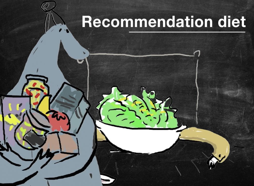 recommendation diet